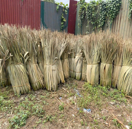 LÁ CỌ BẢN TRUNG
